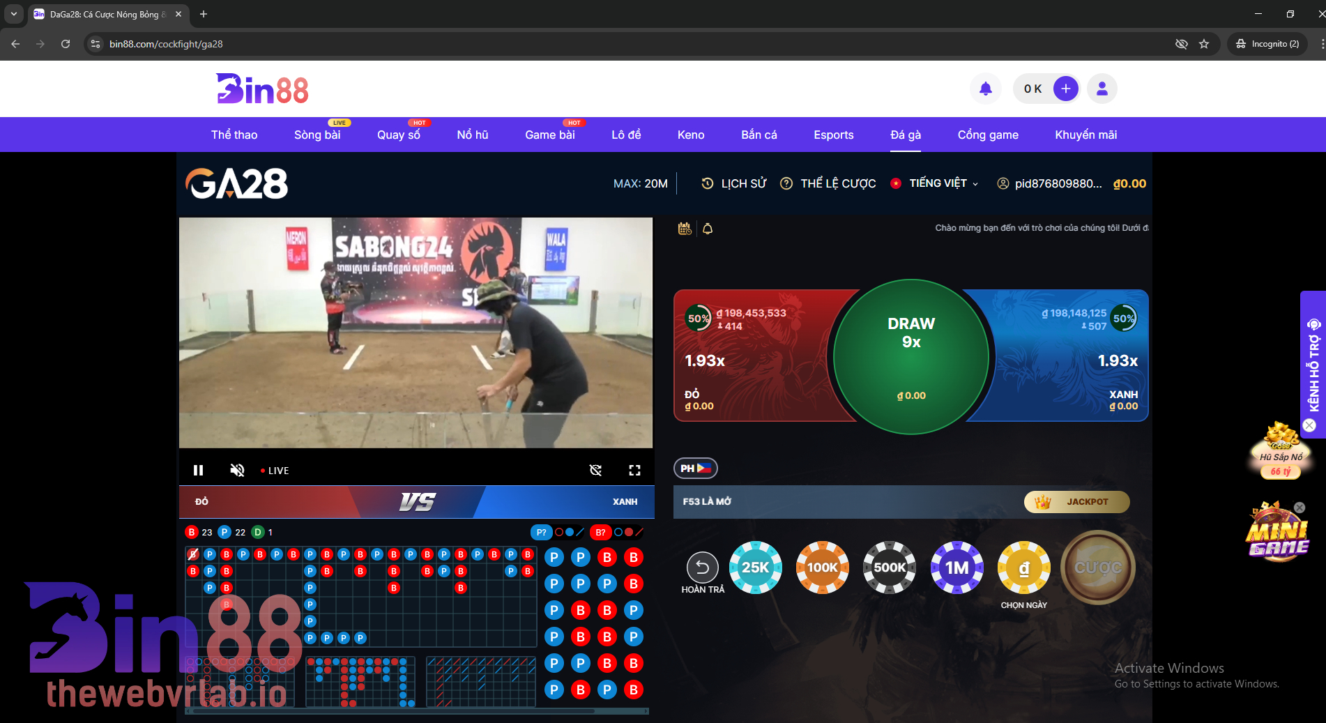 Đá gà tại BIN88 có gì hot?
