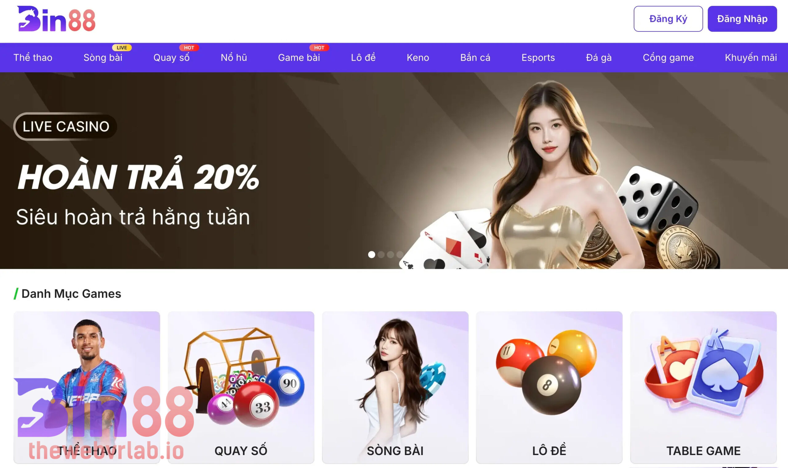 Giới thiệu tổng quan về BIN88