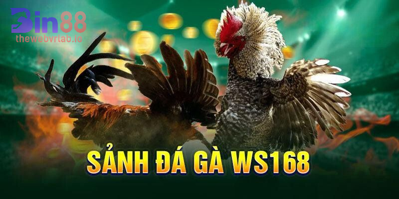 Tổng quát về Đá Gà WS168