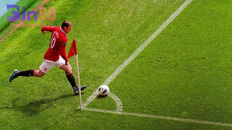 Chuyên gia bật mí bí kíp chơi kèo hay cho Newbie